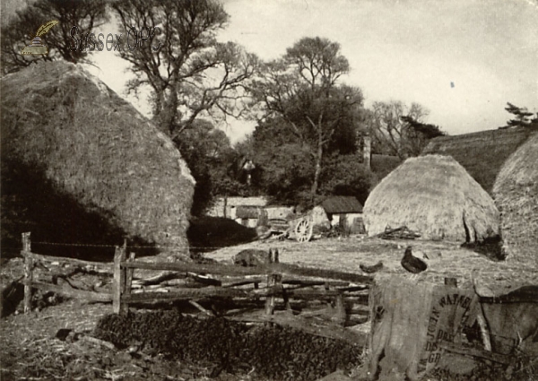 Image of Beddingham - Farmyard