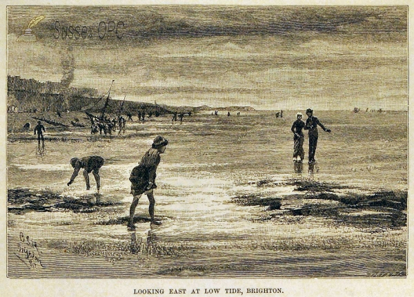 Image of Brighton - Eastward View of the Beach