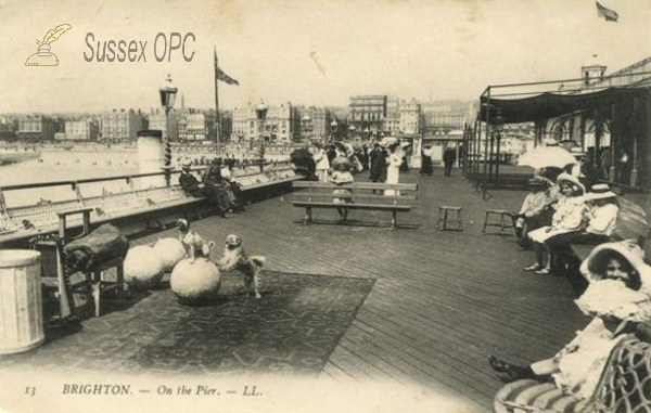 Image of Brighton - West Pier (Prof. Doughty's performing dogs)