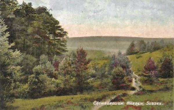 Image of Crowborough Warren - Landscape