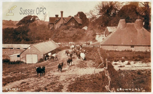 Image of Crowhurst - Farmyard Scene