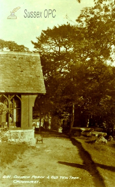 Image of Crowhurst - Old yew tree and church porch