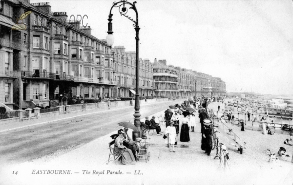 Image of Eastbourne - Royal Parade