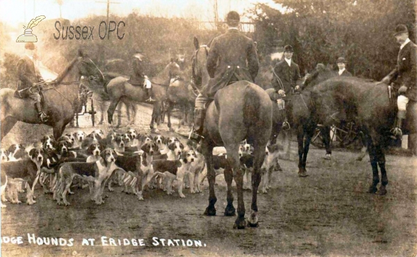 Image of Eridge - Eridge Hounds at Station