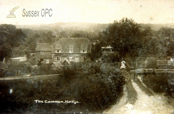 Image of Holtye - The Common