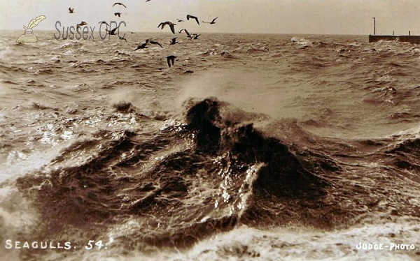 Image of Hastings - Seagulls (Caption Variant)