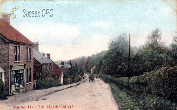 Image of Heathfield - Mutton Hall Hill