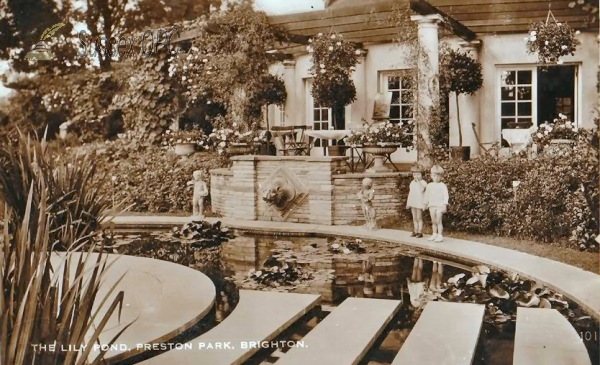 Image of Preston - Preston Park, Lily Pond