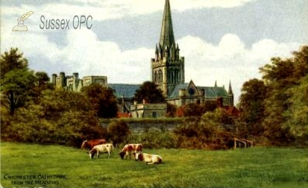 Chichester - The Cathedral from the meadows