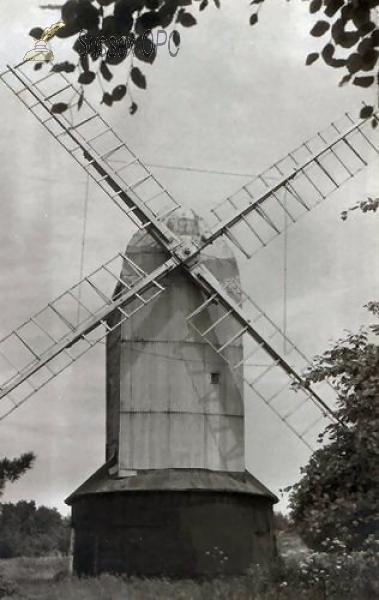 Image of Clayton - Jill Windmill