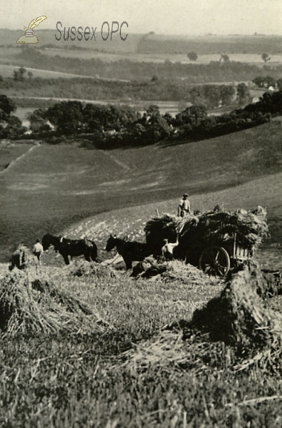 Image of Houghton - Harvesting