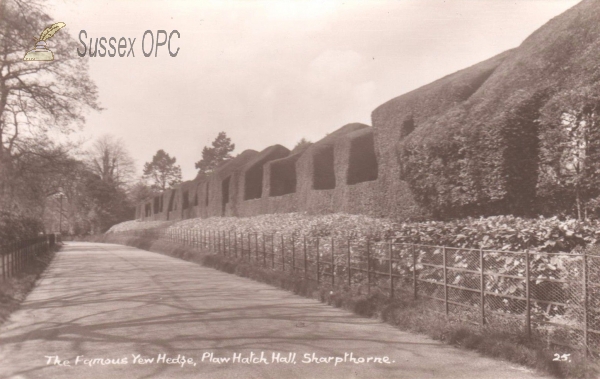 Image of Sharpthorne - Plaw Hatch (Yew hedge)