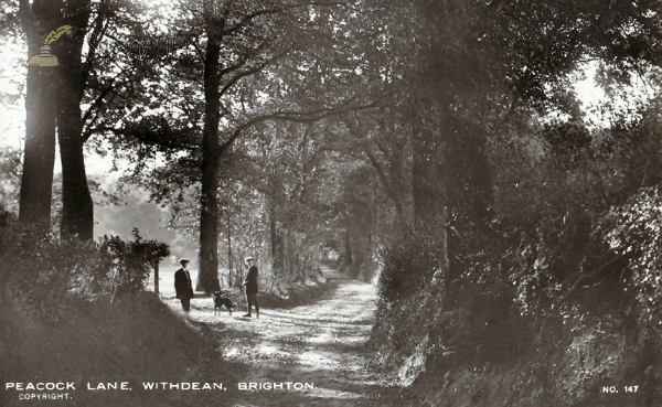 Withdean - Peacock Lane Image of Withdean - Peacock Lane